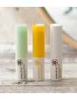 Innisfree Canola Honey Lip Balm 3.5g